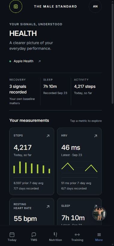 Optimization in the approved TMS app, with example data